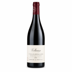 Volnay 1er cru Brouillards 2022